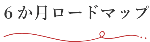 6か月ロードマップ